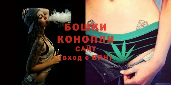 крисы Магас