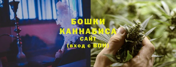 сатива Майский