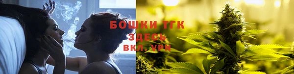 крисы Магас