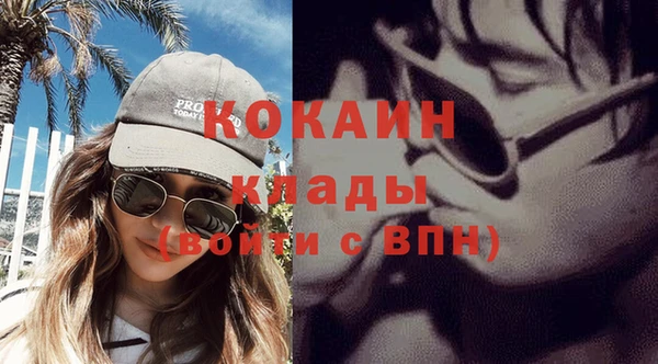 крисы Магас