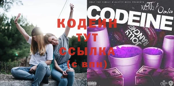 крисы Магас