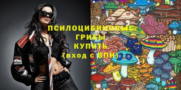 сатива Майский