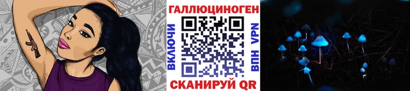 Купить закладки Лодейное Поле Галлюциногенные грибы Psilocybe